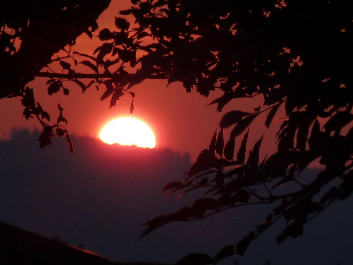 몬드시 Gaestehaus Sonnenhang 아파트 외부 사진